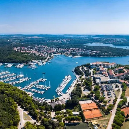 Senorita In With Pool