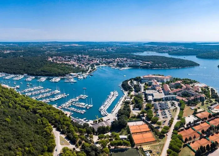 Senorita In With Pool